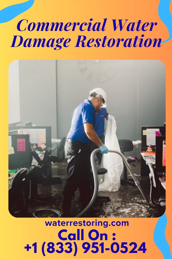 Commercial Water Damage Restoration in Plumerville, AR