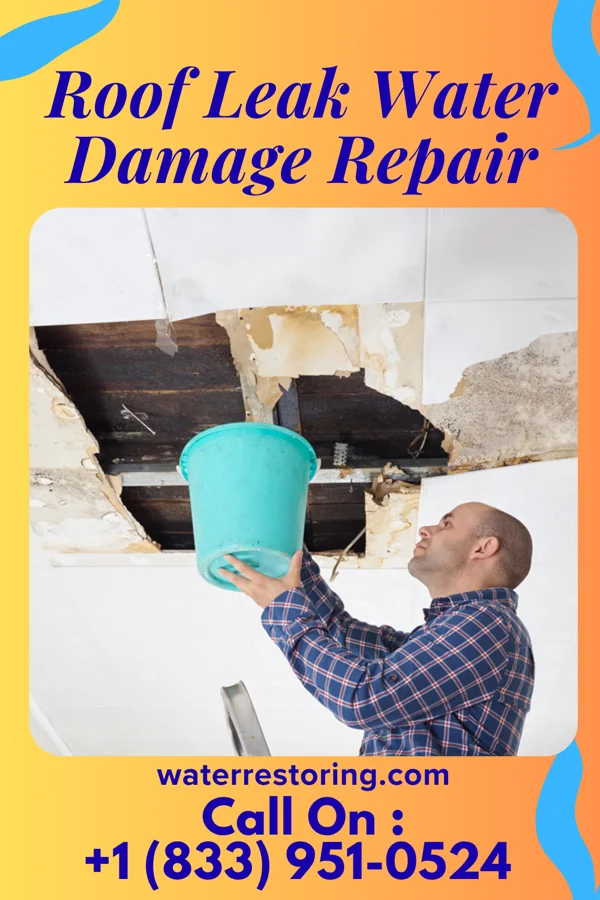 Roof Leak Water Damage Repair in Plumerville, AR